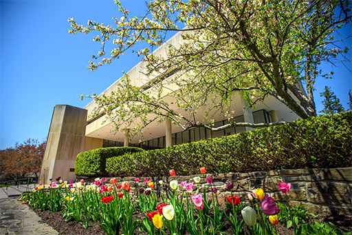 Burke Library, Hamilton College